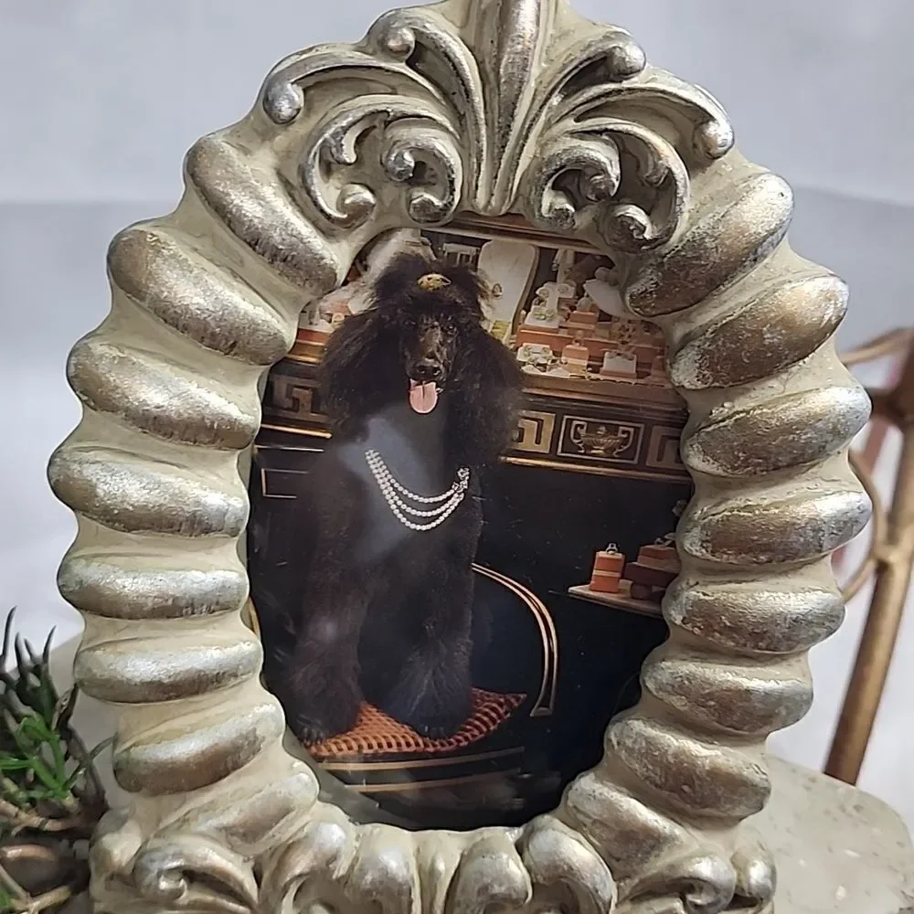 Brushed Gold Decorative Ornate Oval Shaped Photo Frame